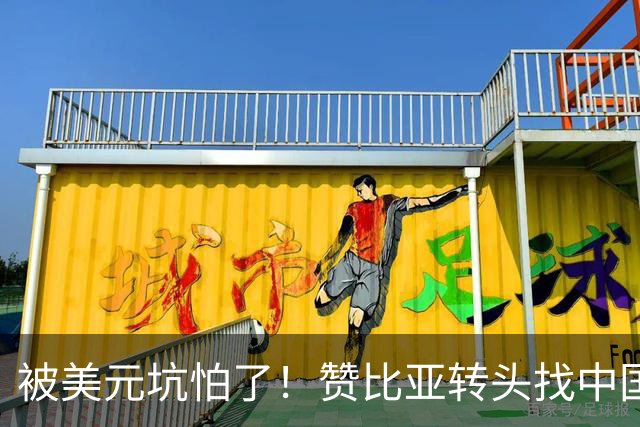 被美元坑怕了！赞比亚转头找中国：铜矿换人民币，这买卖划算！